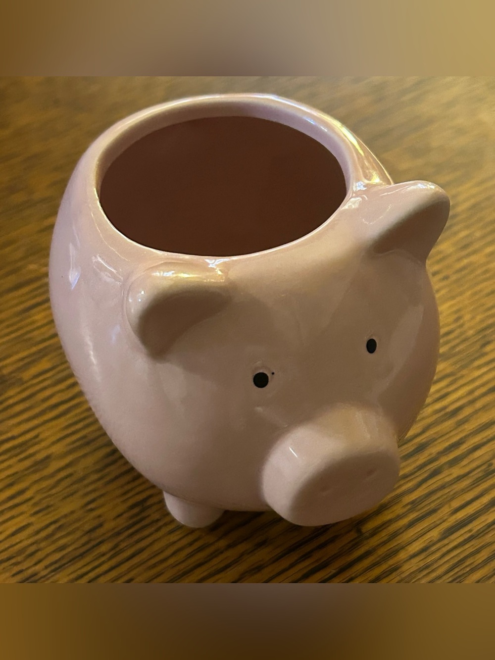 Pink Ceramic Pig Planter